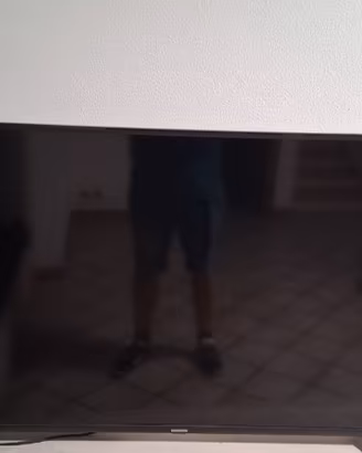 TV normende 24 pollici 