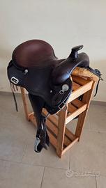 Sella americana pool's 8020