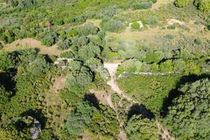 TER. AGRICOLO A OLBIA