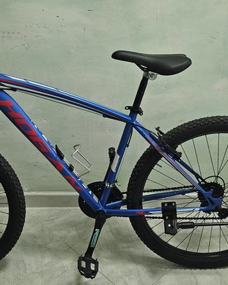Bicicletta hogan