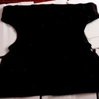 HONDA INTEGRA DC2 typer r