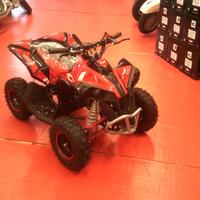 MINI QUAD 50 2T R6