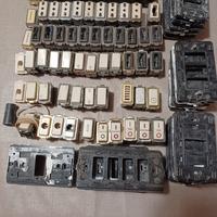 frutti e telai b Ticino magic 