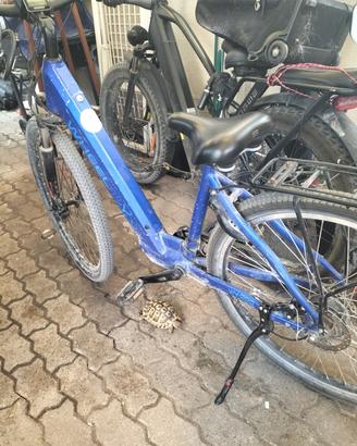 Bicicletta elettrica 