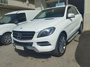 mercedes-benz-ml-250-bluetec-4matic-premium