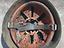 Immagine 5