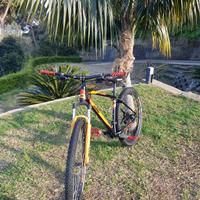 Mtb Ktm chicago disc 29 L