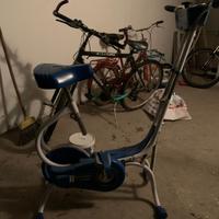 Ciclette Ginny Alala