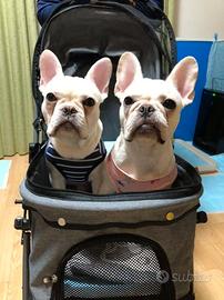 Fantastici carrelli per animali da compagnia