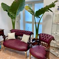 Salotto divano con poltrone chesterfield