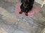 Immagine 2