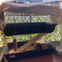 Gabbia due piani per conigli