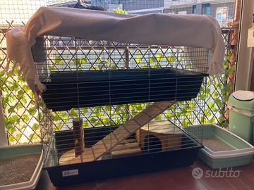 Gabbia due piani per conigli
