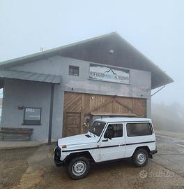 mercedes gd300 