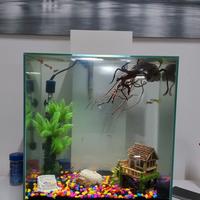 Vedno acquario completo