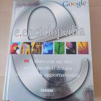 E-Enciclopedia Google - Fabbri Editore