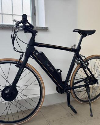 Grünberg Moskito city e-bike