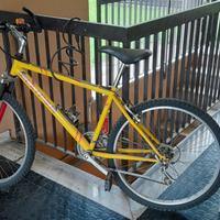 Mountain bike usata