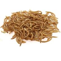 Tarme della farina a San Giuliano Milanese