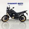 voge-rally-800-ds800x-2025