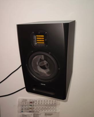 Casse Adam F5 +  staffe da muro