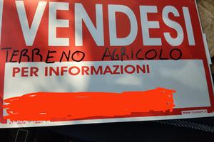 Terreno Agricolo