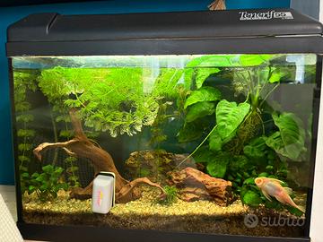 Acquario askoll tenerif 20l.
