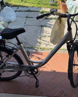 Bicicletta Armony elettrica