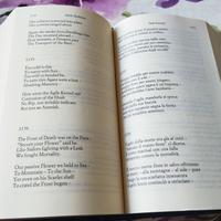 Emily Dickinson tutte le poesie.