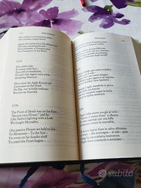 Emily Dickinson tutte le poesie.