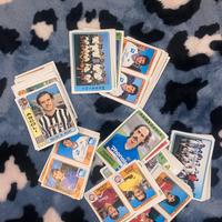 Figurine panini