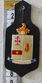 4° Battaglione Trasmissioni Gardena, 1976