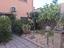 Immagine 12