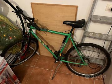 Bicicletta mountain bike