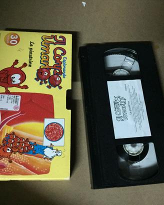 K4421NN-VHS Il Corpo Umano Le Piastrine