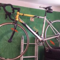 Bicicletta da corsa