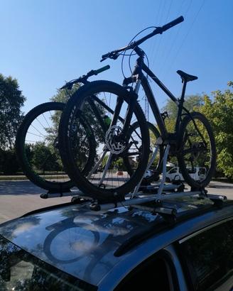 Barre portabici da tetto 