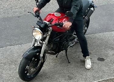 Ducati monster
