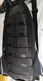 tartaruga moto ZANDONA