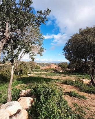 Terreno panoramico 1400 mq