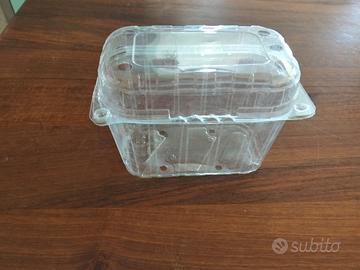 cestini plastica per frutta 1 kg 10000 pezzi