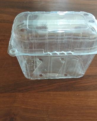 cestini plastica per frutta 1 kg 10000 pezzi