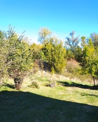 Immobile in asta di 373919 m² a Marano sul Panaro
