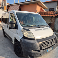 Ducato 9 posti