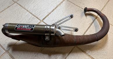 Marmitta giannelli Reverse