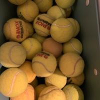 Palline da  tennis