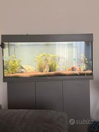 Acquario Juwel 180 litri