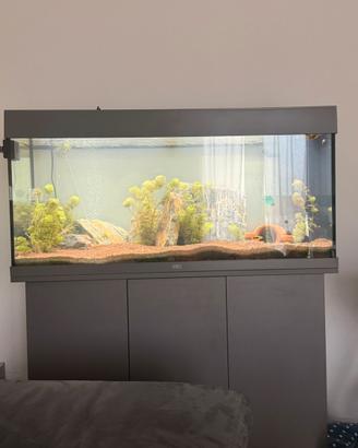 Acquario Juwel 180 litri