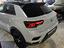 Immagine 8