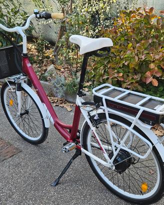 Bici pedalata assistita